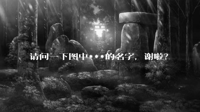 请问一下图中***的名字，谢啦？