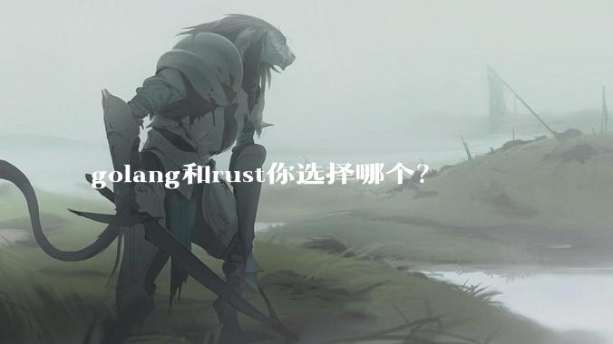 golang和rust你选择哪个？